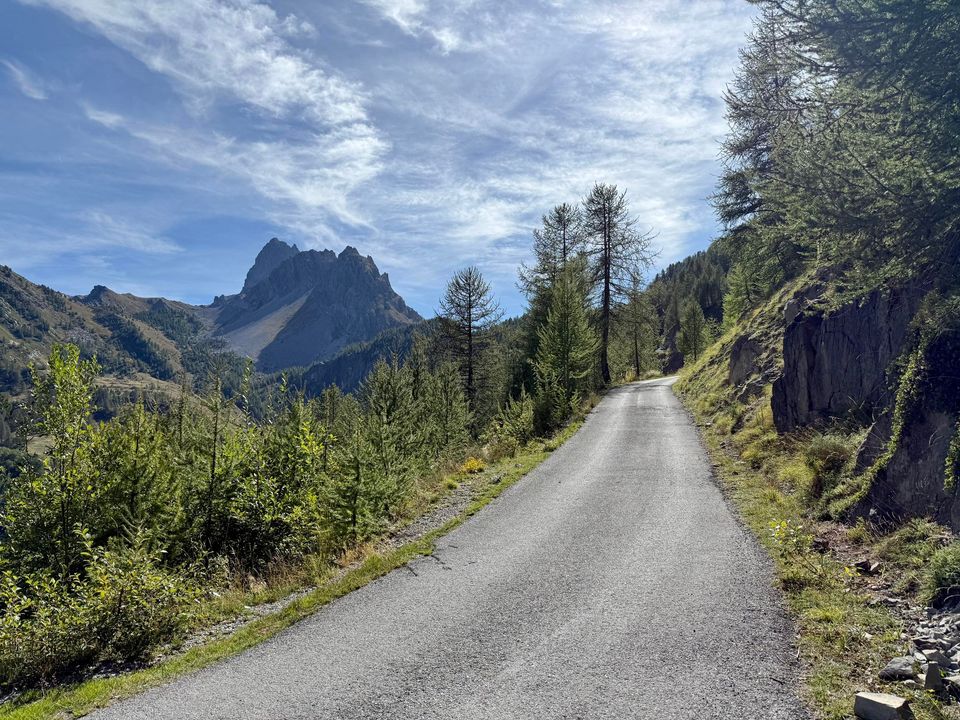 Narrow paved road climbing through larches toward a pointed peak