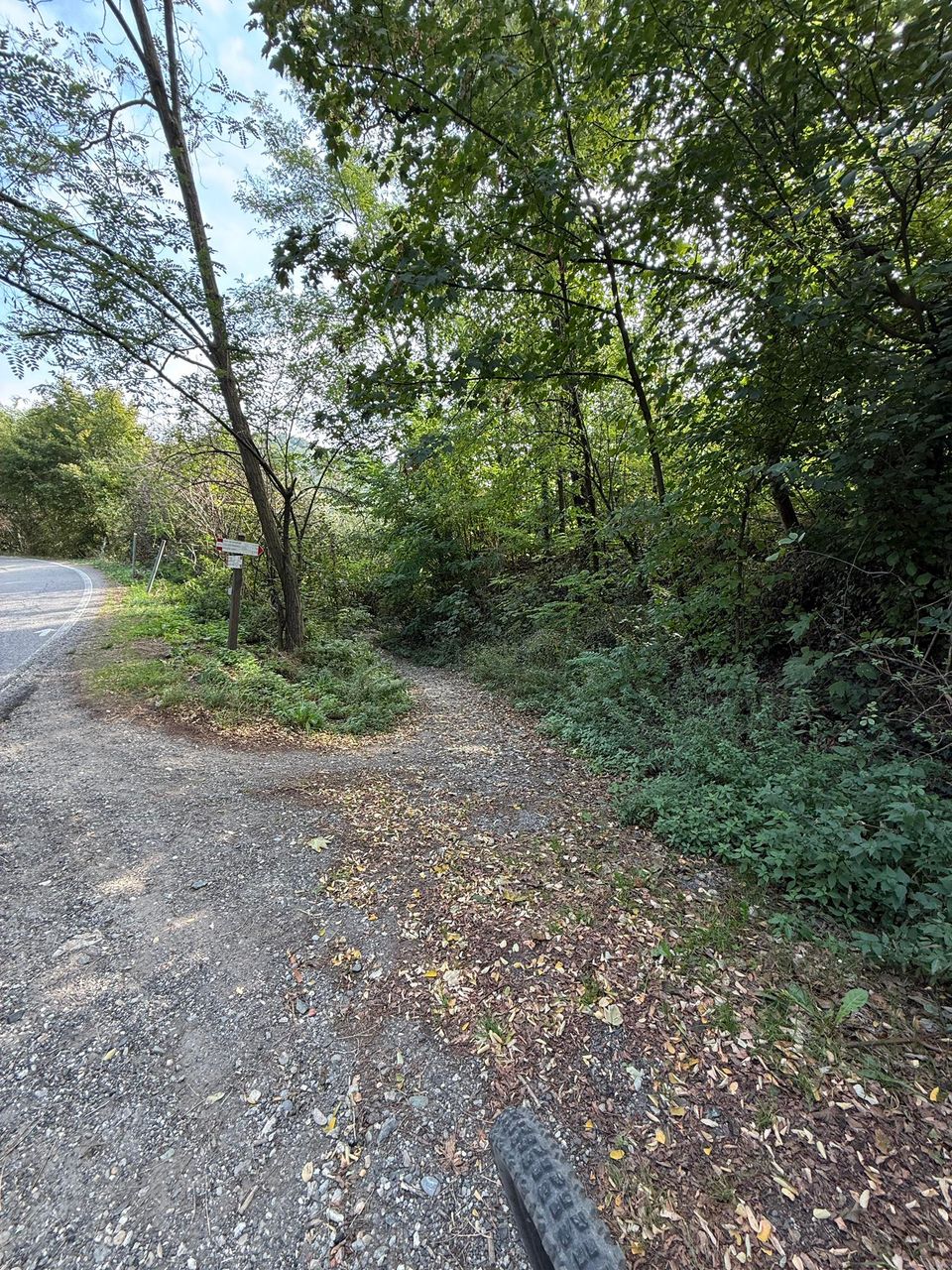 Path leaving the road for the woods, leaves on the ground