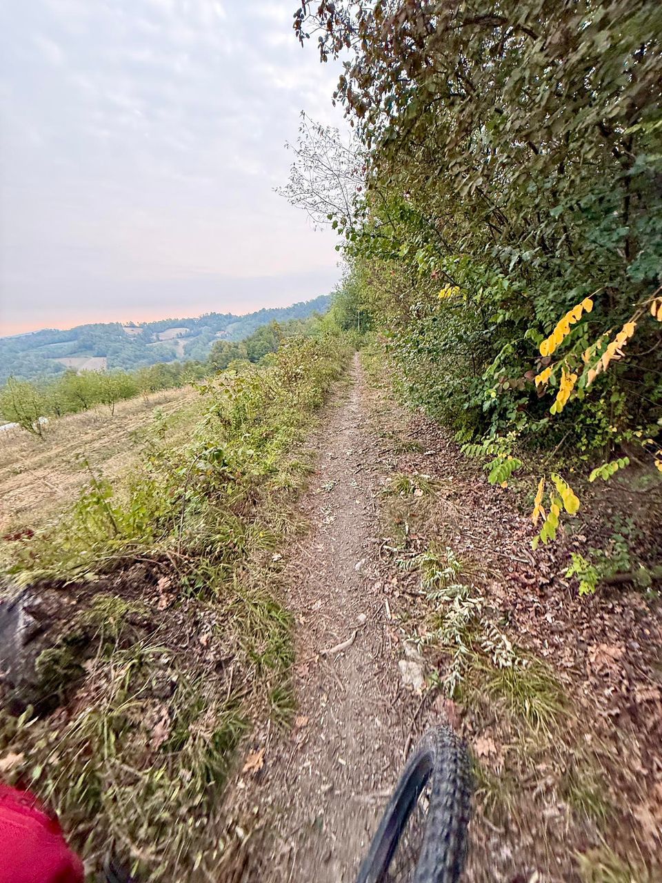 Singletrack along a field edge under a pink sky, hills beyond
