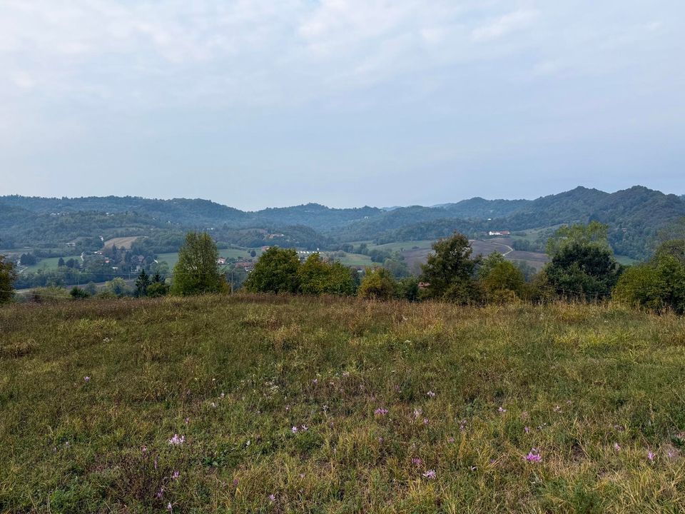 Meadow looking out over wooded hills under a pale sky