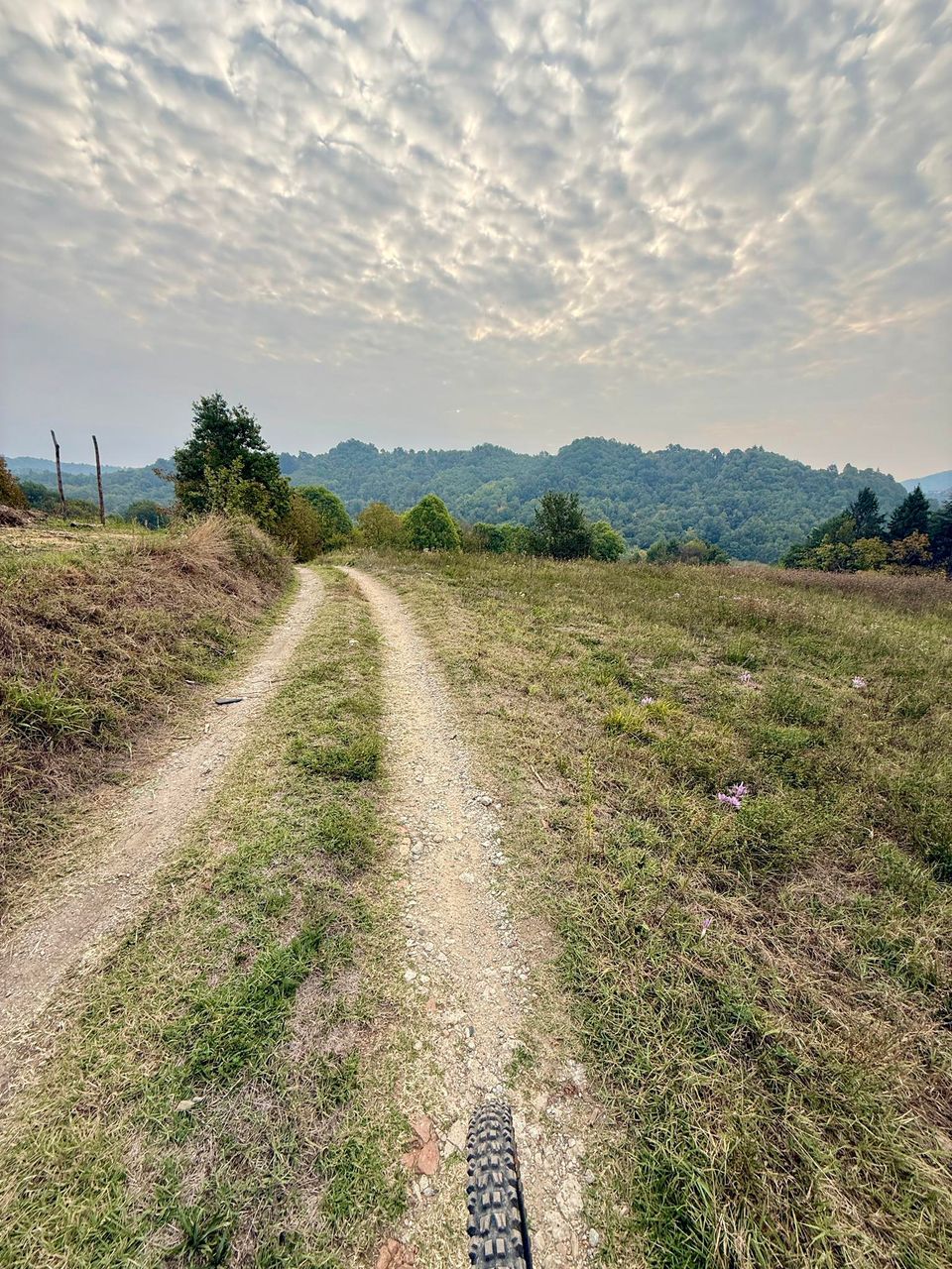 Double-track farm road through dry fields, hills on the horizon