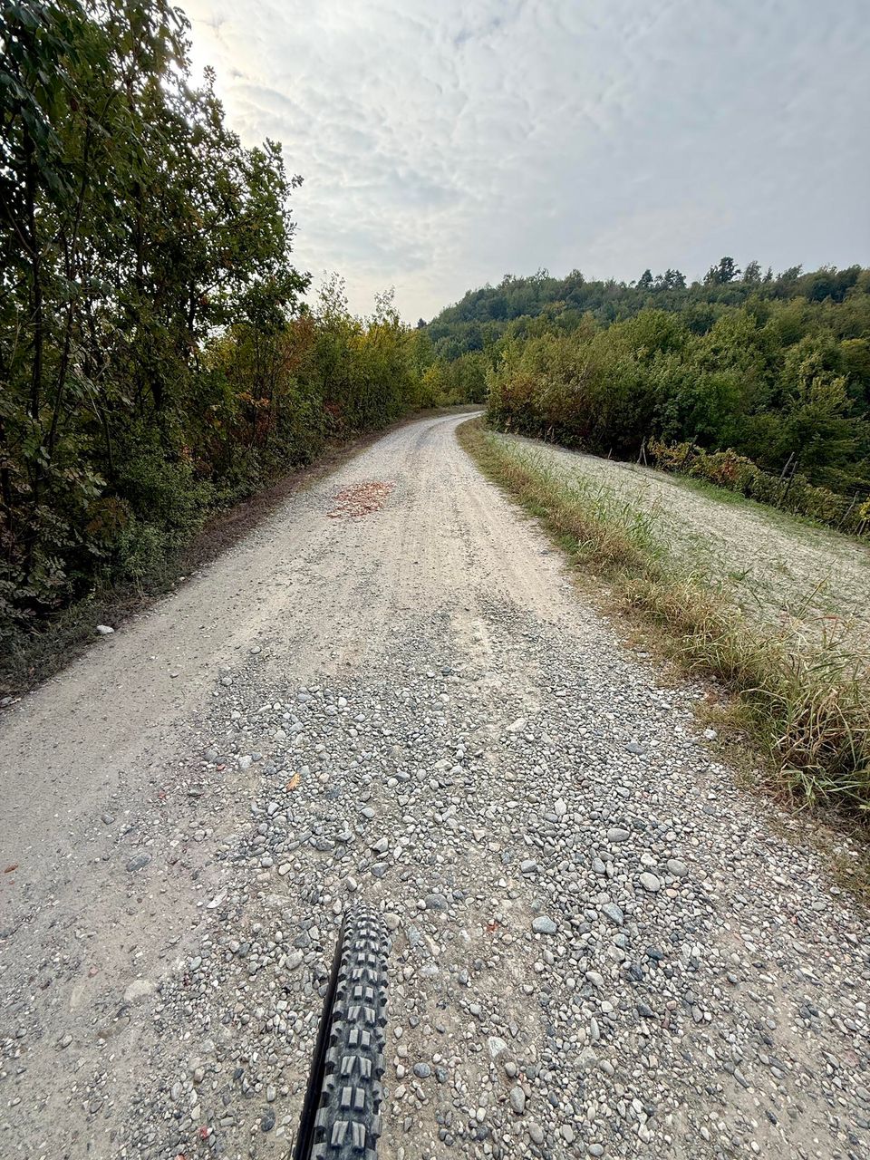 Gravel road along the woods under a grey sky