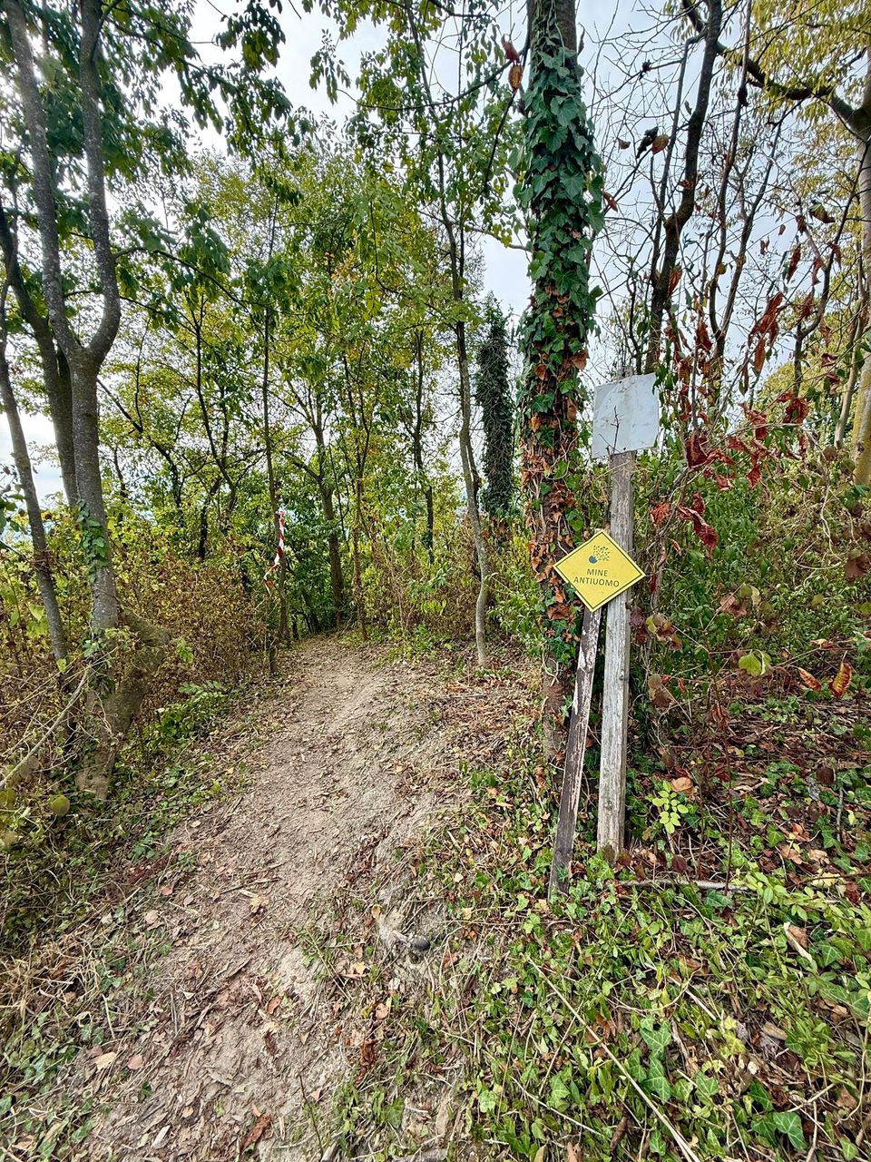 Trail beside a post with a yellow sign in the woods