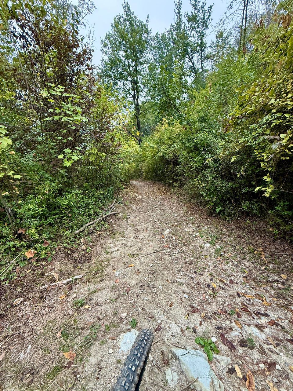 Stony path between thick green scrub, front tyre in view