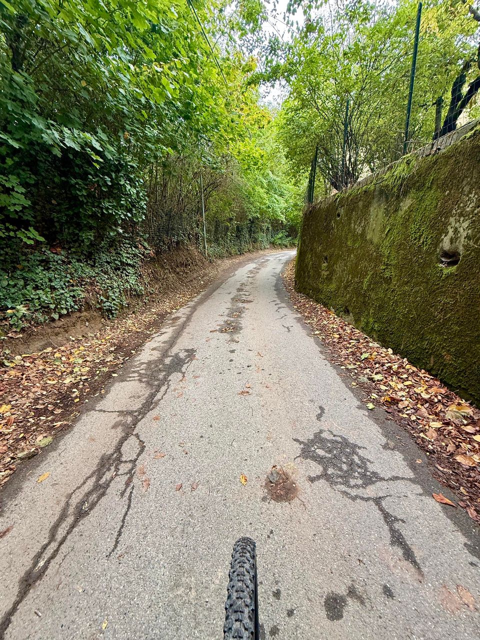 Narrow lane under a mossy stone wall, covered in leaves
