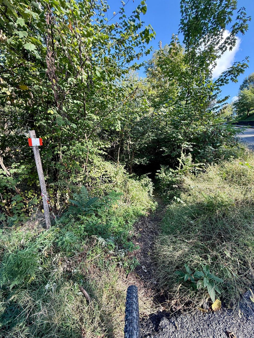 Red-and-white waymark at the start of a wooded path