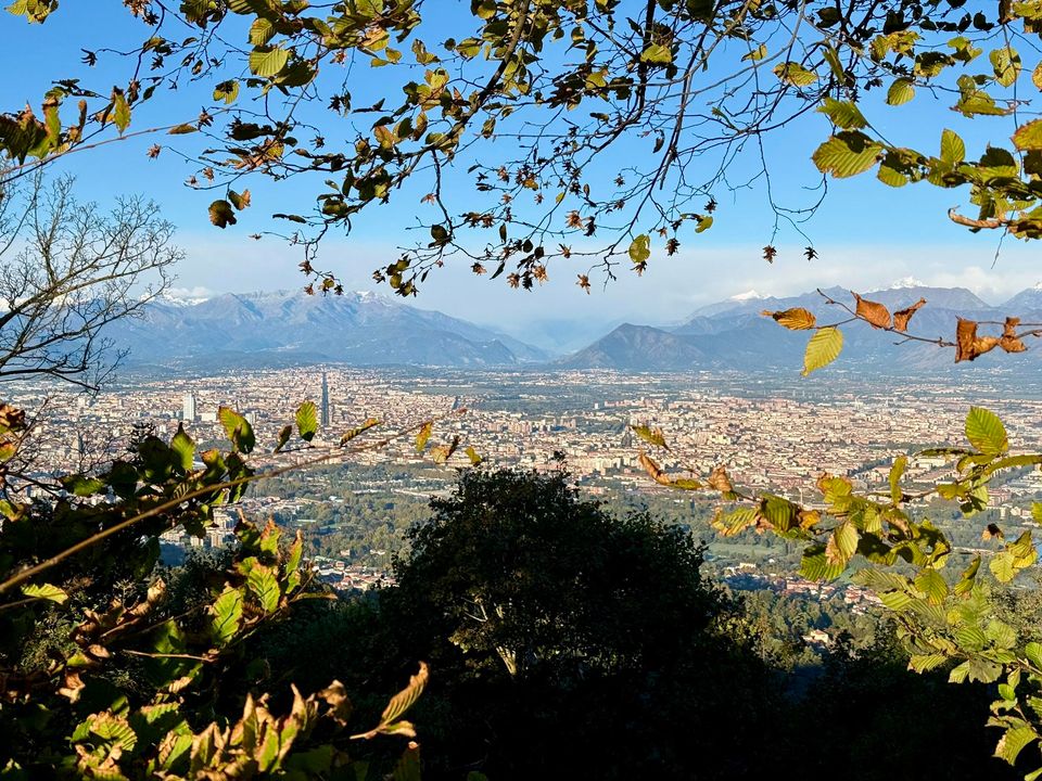 Turin and the Mole Antonelliana below the Alps, framed by leaves